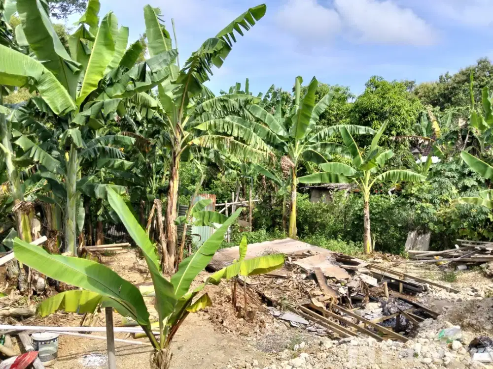 Land for sale in Ungasan, Bali