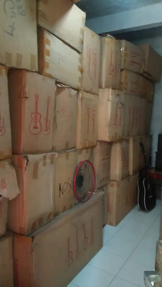Gitar akustik borongan