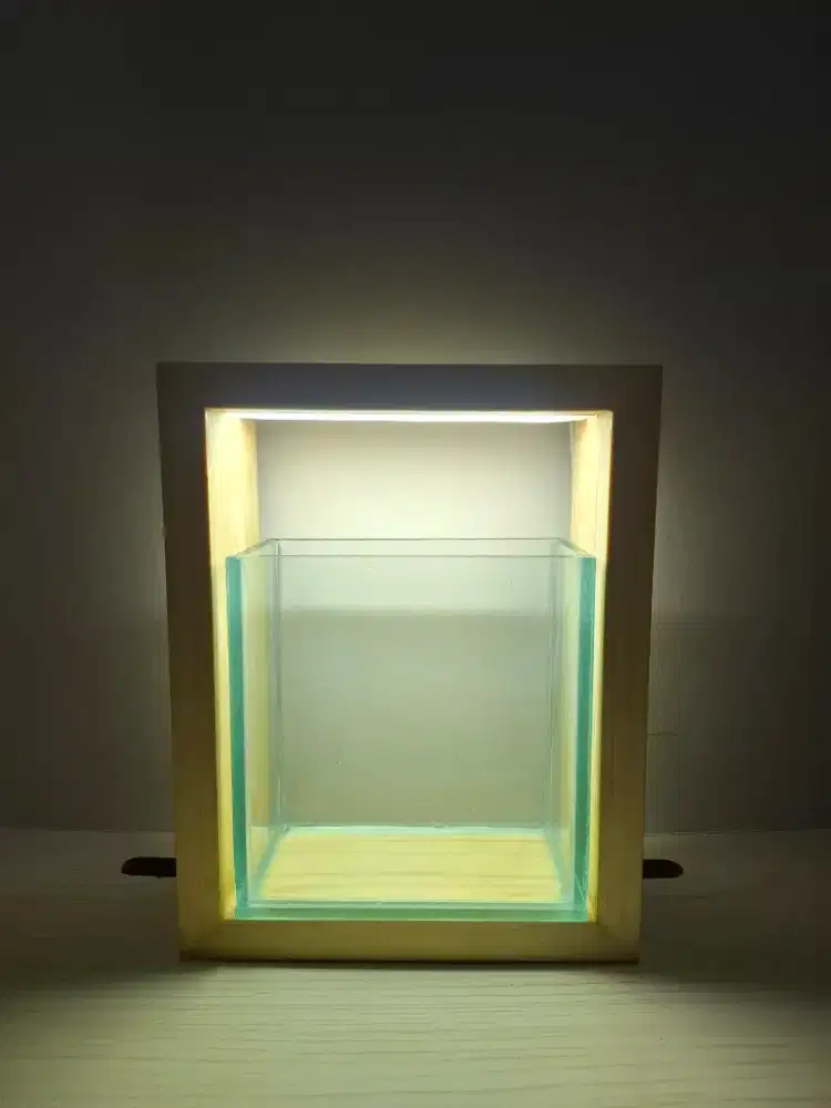 Aquarium Cupang Minimalis Aestetik