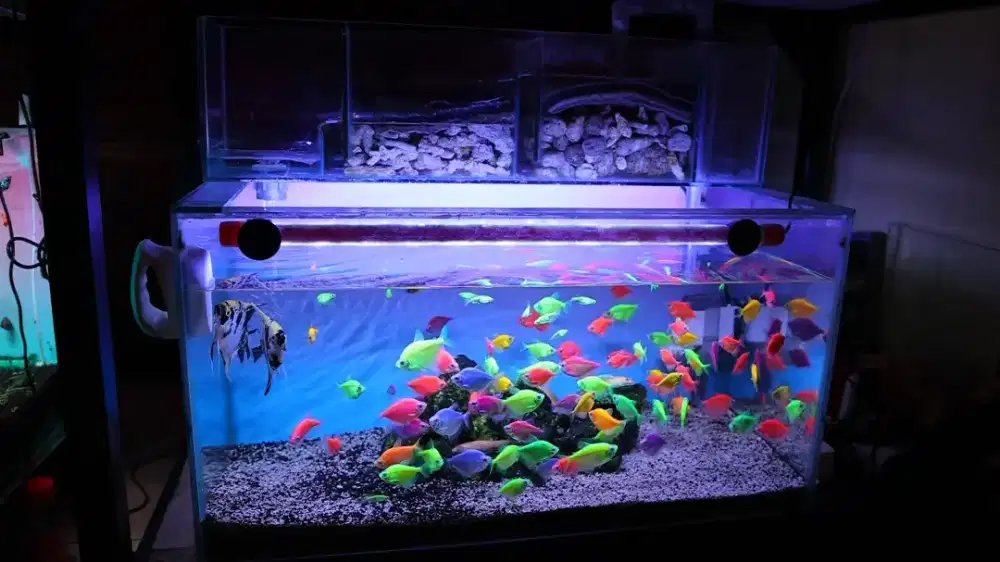 Aquarium 60x30x30 fullset