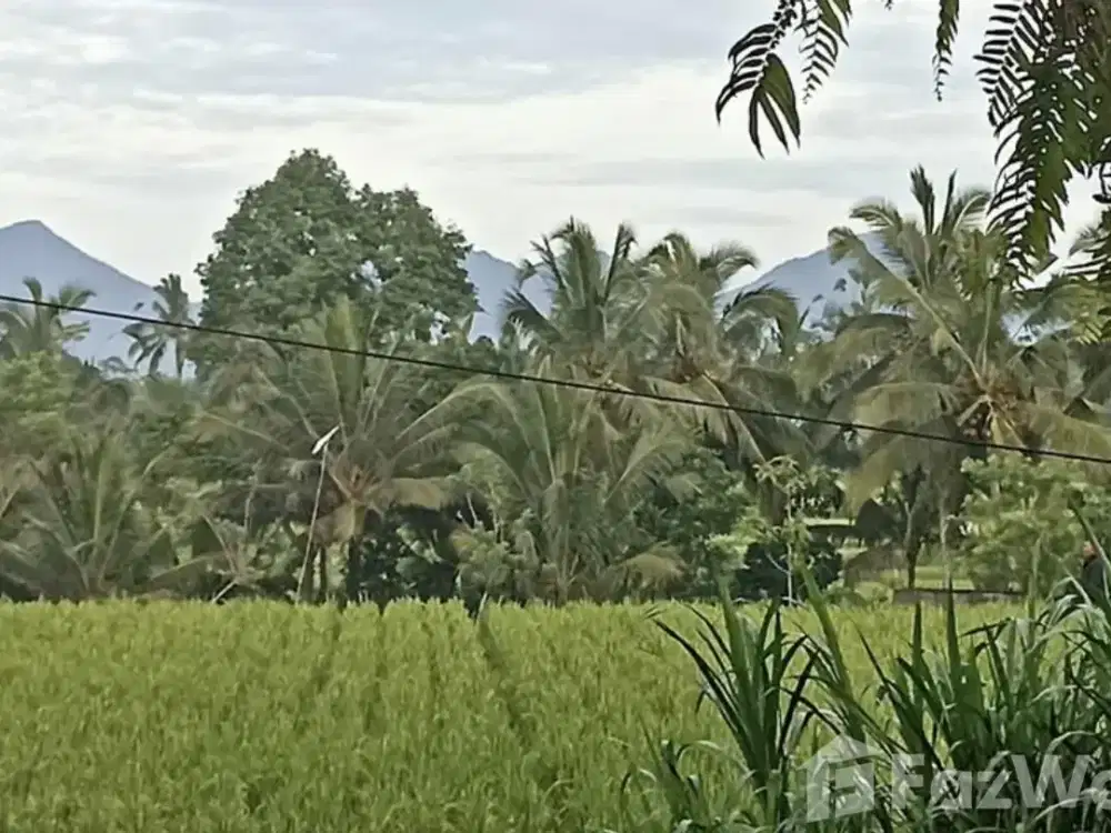 Land for sale in Ubud, Bali