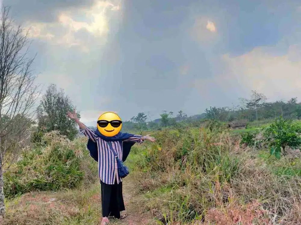 DIJUAL TANAH DI PURWODADI , PASURUAN