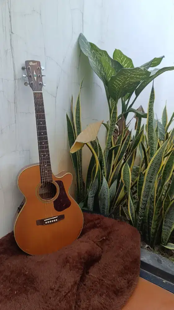 Gitar Cort model L160F NS