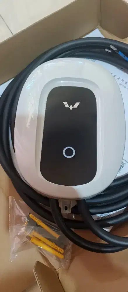 wall charger wuling air ev GBT