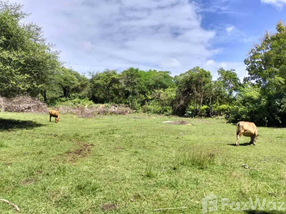 Land for sale in Jimbaran, Bali