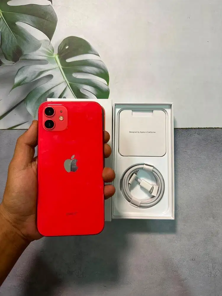 IPHONE 12 128 GB INTER