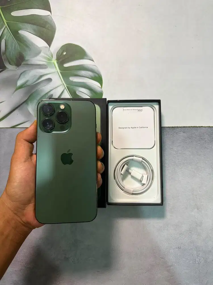 IPHONE 13 PRO 256 GB INTER