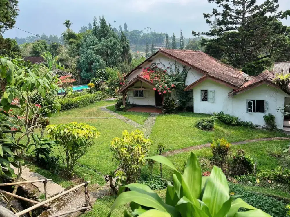 Jual Murah Banting Harga Vila Bangunan Lama Dekat Taman Safari 1.5Km. Bawah NJOP View Indah Sangat Menjual untuk cafe hotel