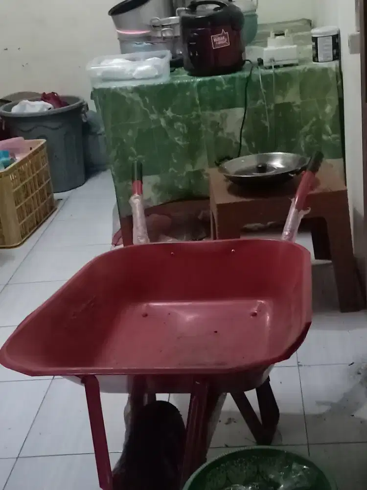 Dorongan wilmer