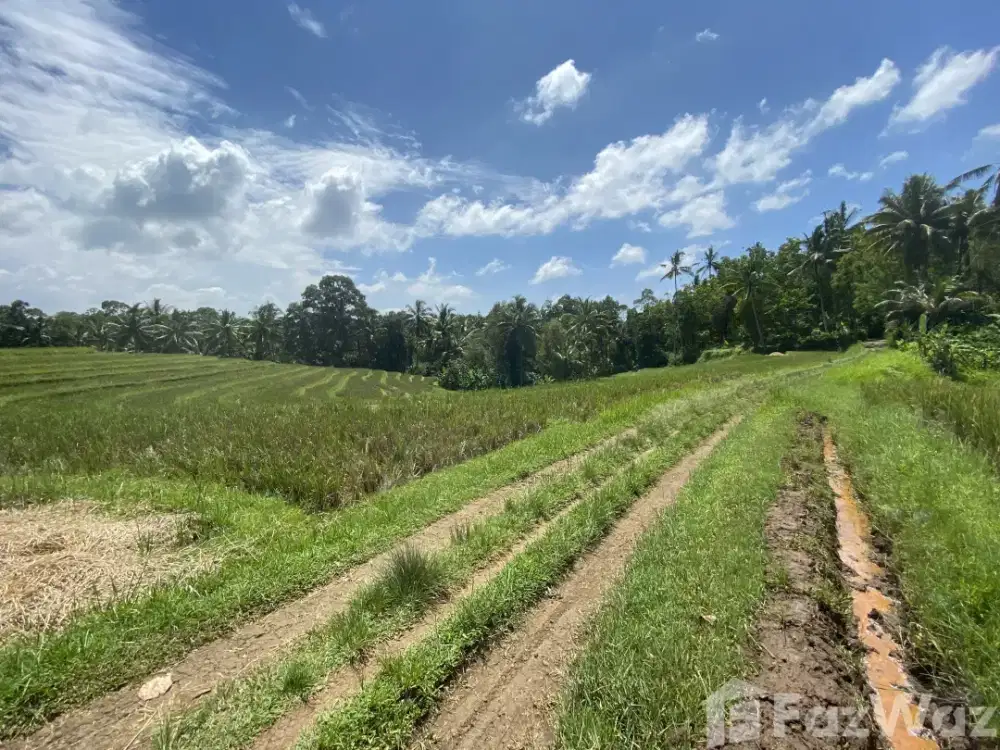 Land for sale in Selemadeg, Bali