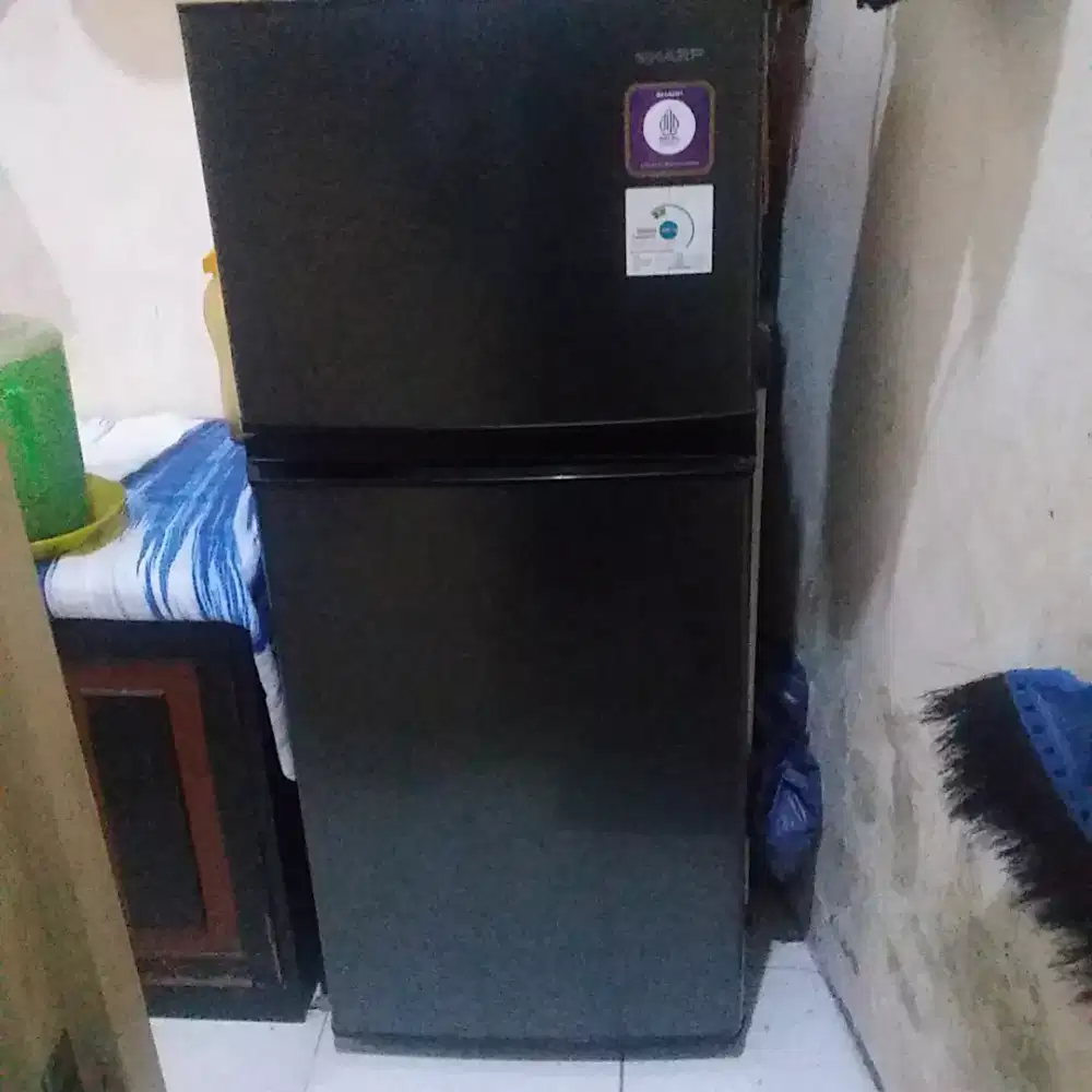 kulkas sharp 2 pintu bagus