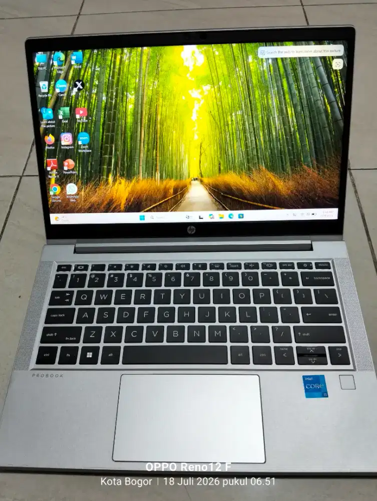 Dijual laptop Hp Probook Silver Mulus Intel i5 gen 11 ram 16GB Bcklait