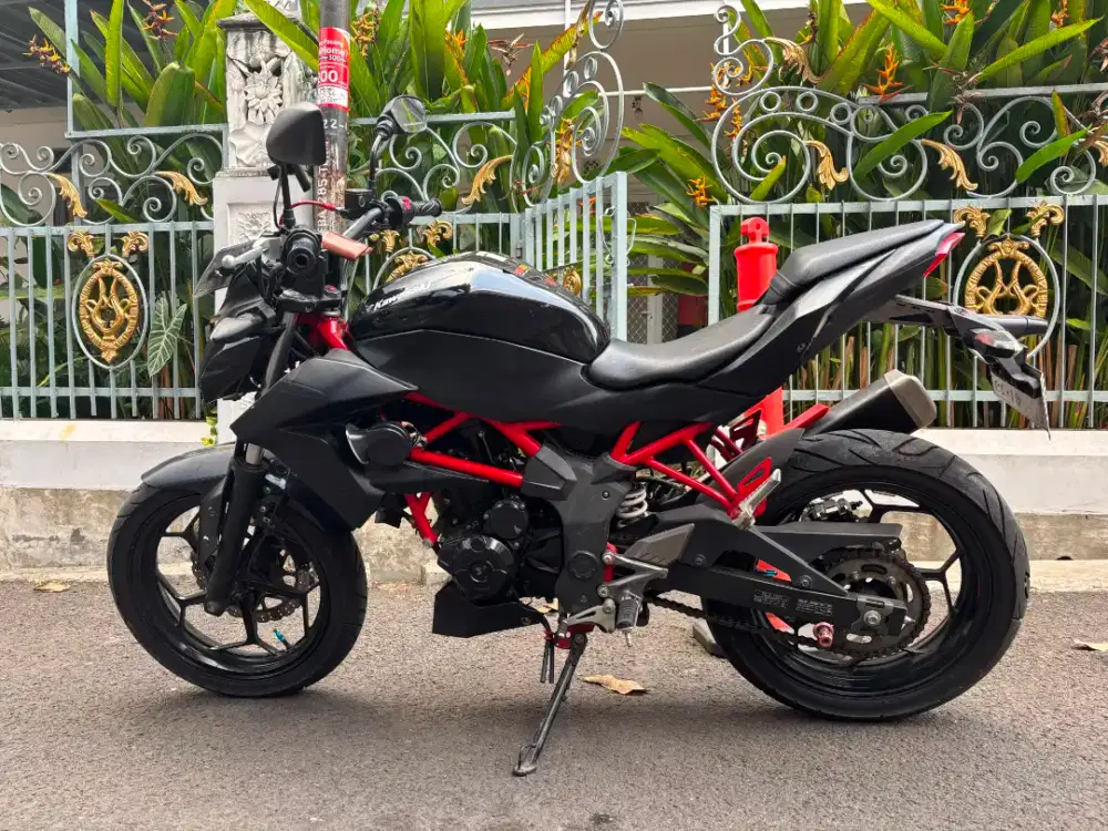 Kawasaki Z 250 SL