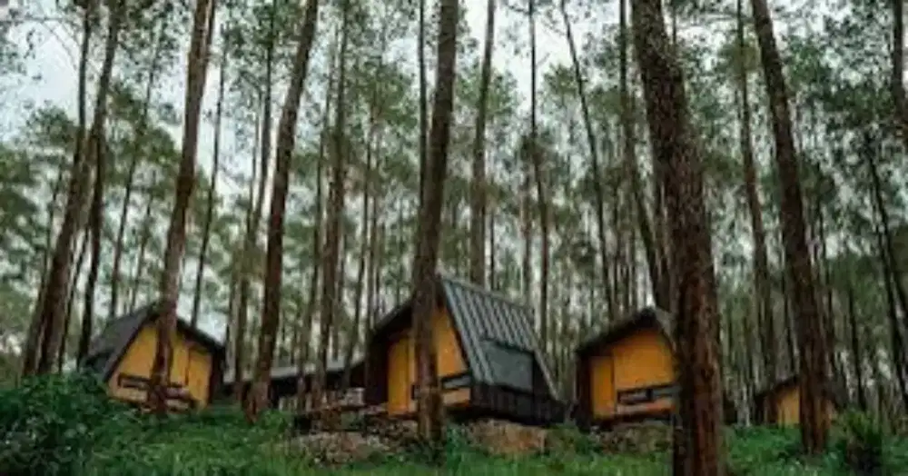 Voucher Hotel Bobocabin Cikole