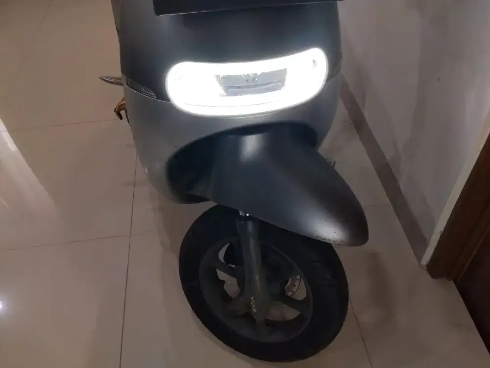 Molis viar Q1 surat lengkap
