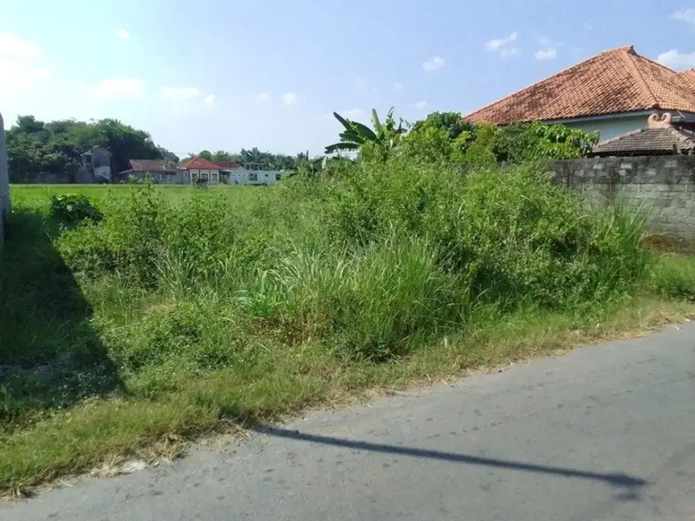 Tanah Strategis Dijual di Kalitirto Berbah - Cocok Hunian & Investasi