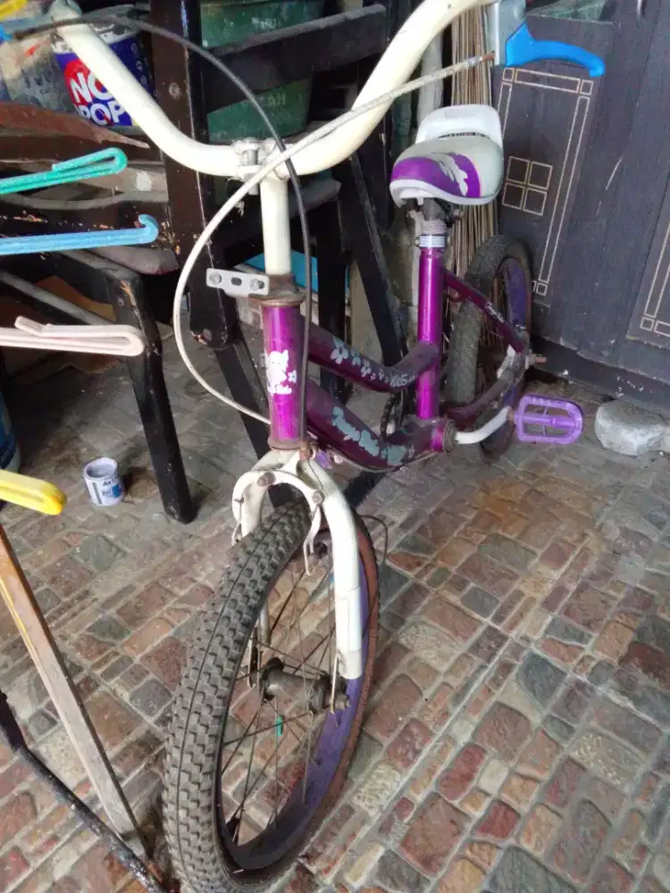 Sepeda anak dijual cepat kondisi bekas