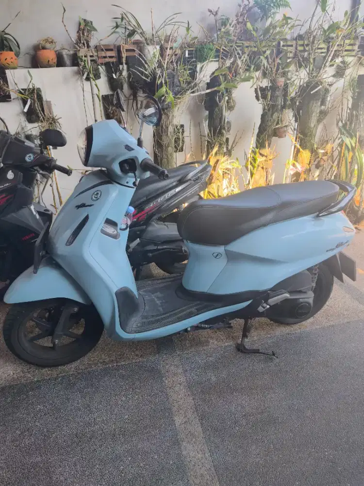Jual Grand Filano
