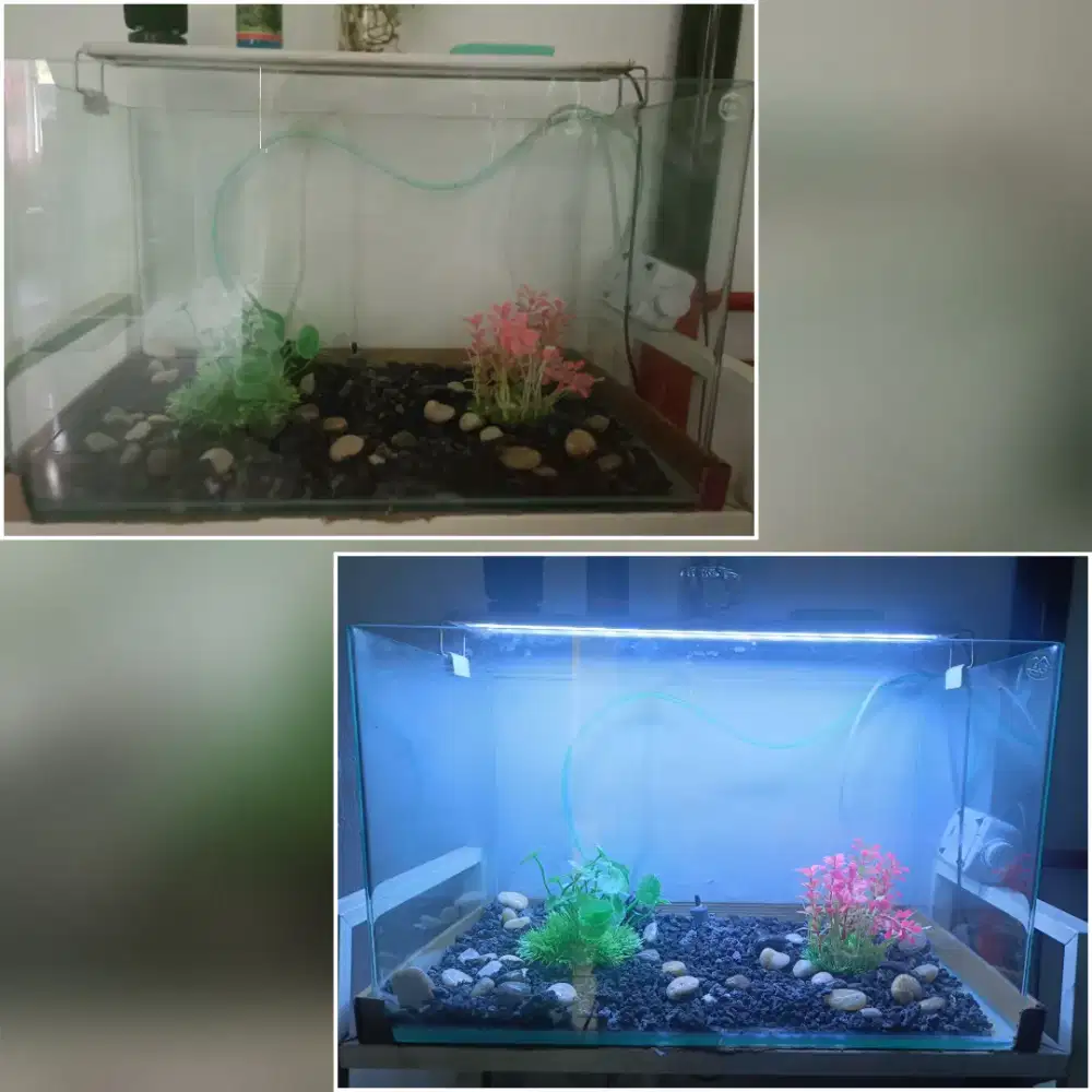 Aquarium full set