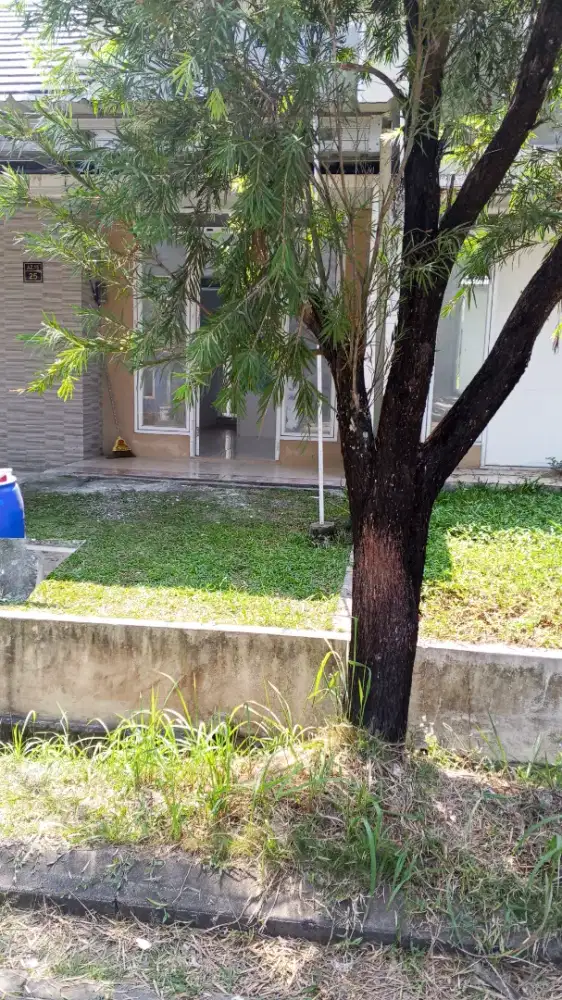 Disewakan rumah Bersih lingkungan asri harga terjangkau