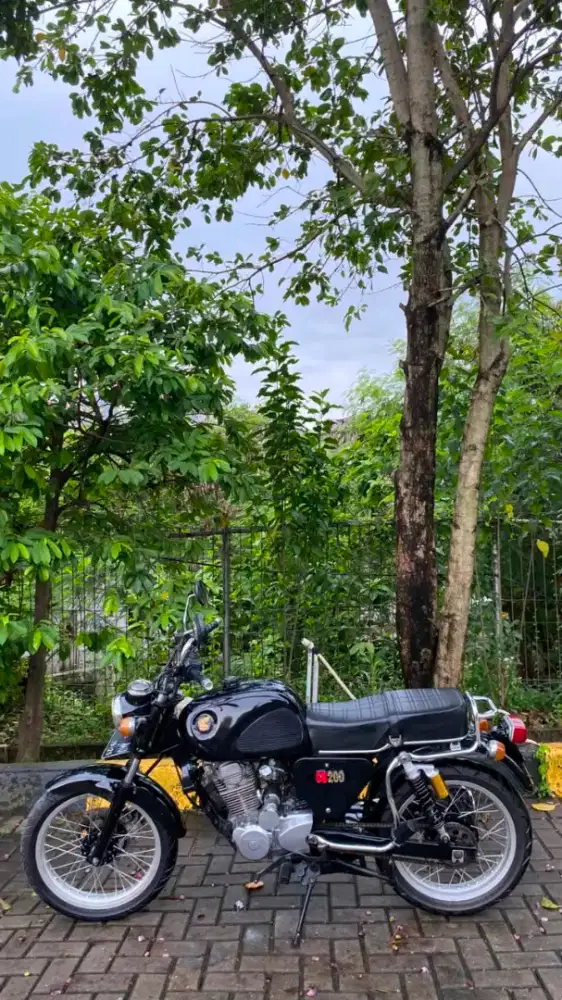 FS CB Dream basic Tiger Revo 2010