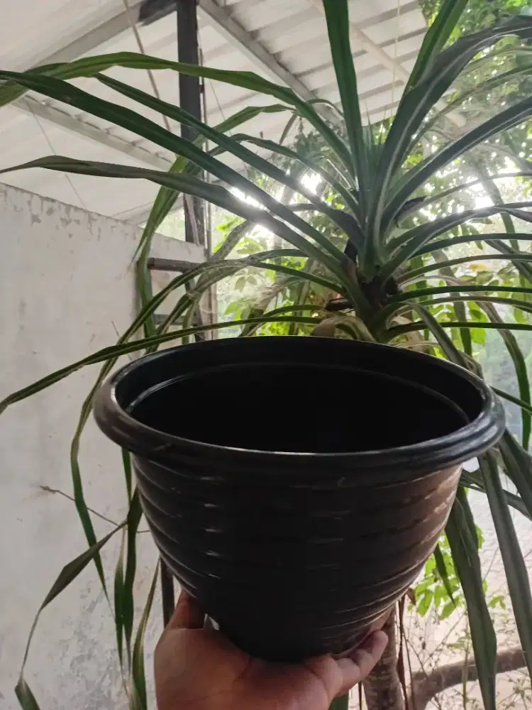 Pot wadah tanaman