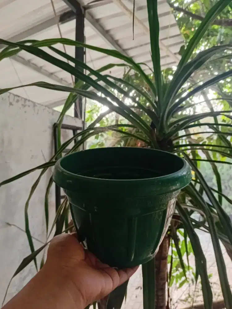 Pot wadah tanaman