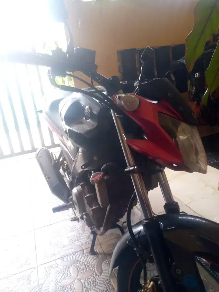 Yamaha viksen 2015