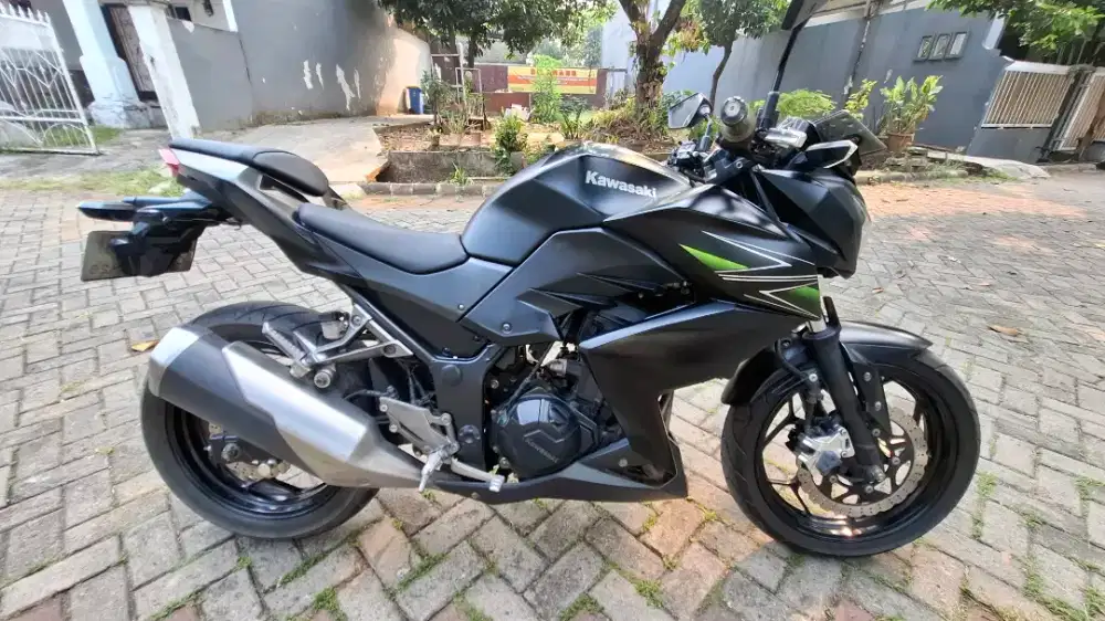 Kawasaki Z250 2013