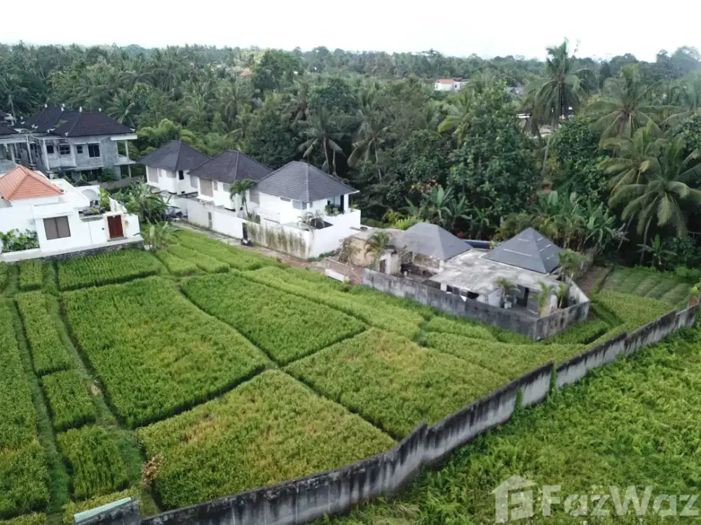 Land for sale in Ubud, Bali