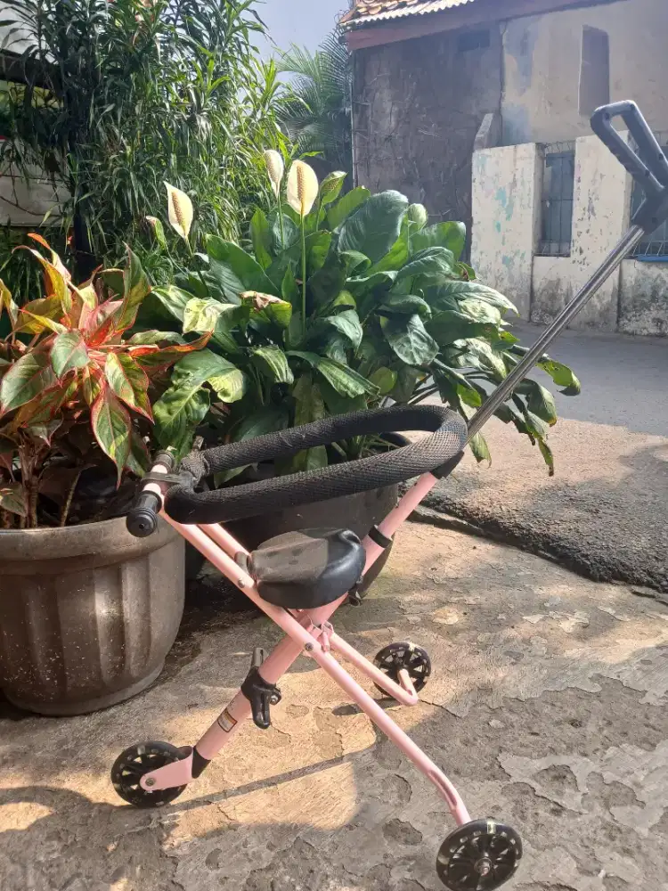 Stroller exotic