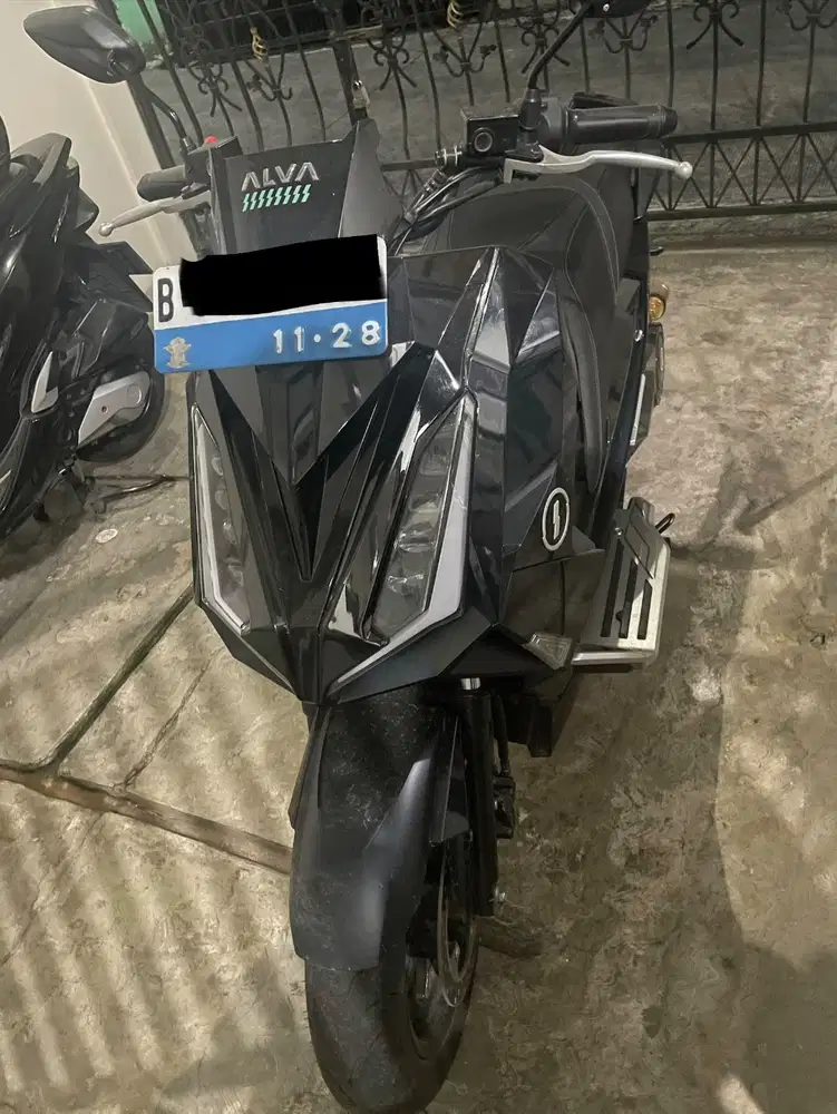 Alva cervo 2023
