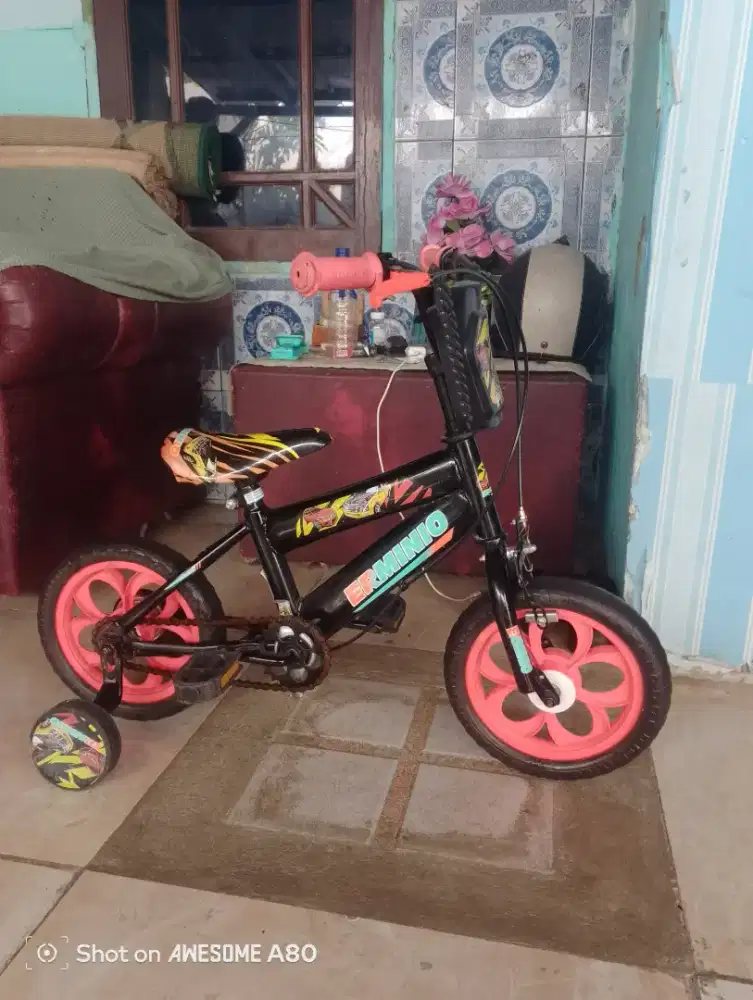 Sepeda anak R 12 erminio