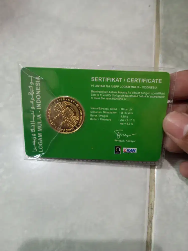 dinar antam limited