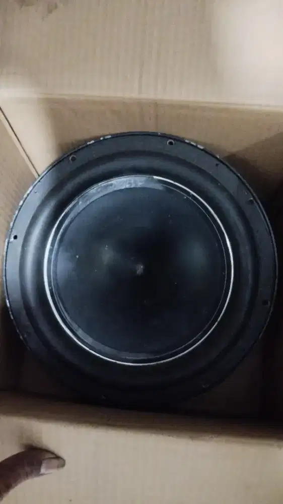 Sub pasif 12in double coil