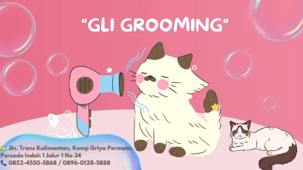 Grooming Kucing