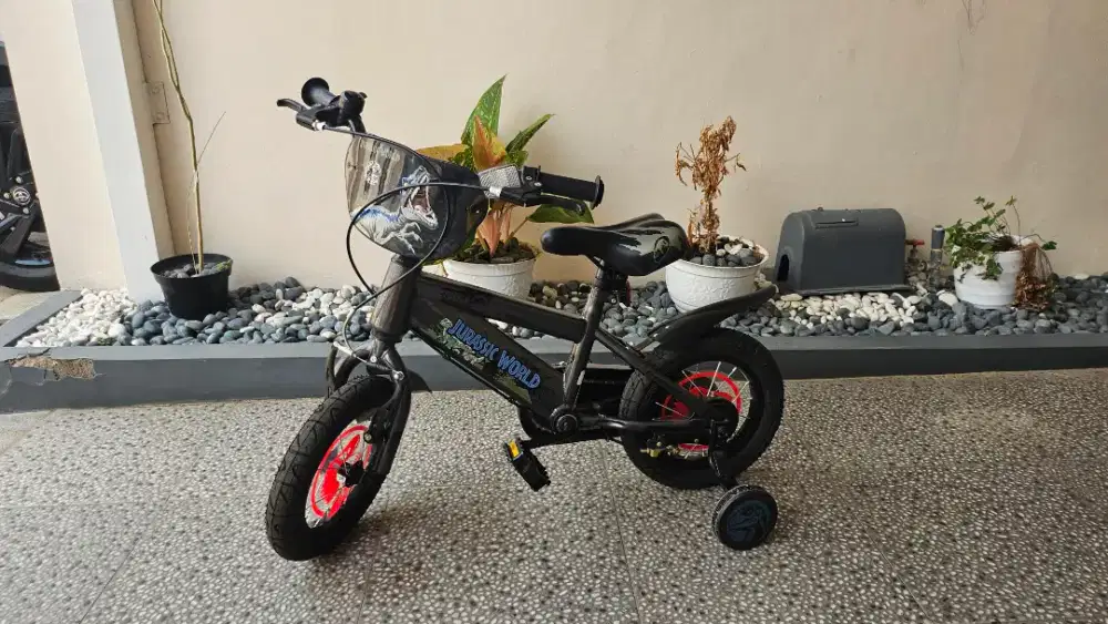 Jual sepeda anak