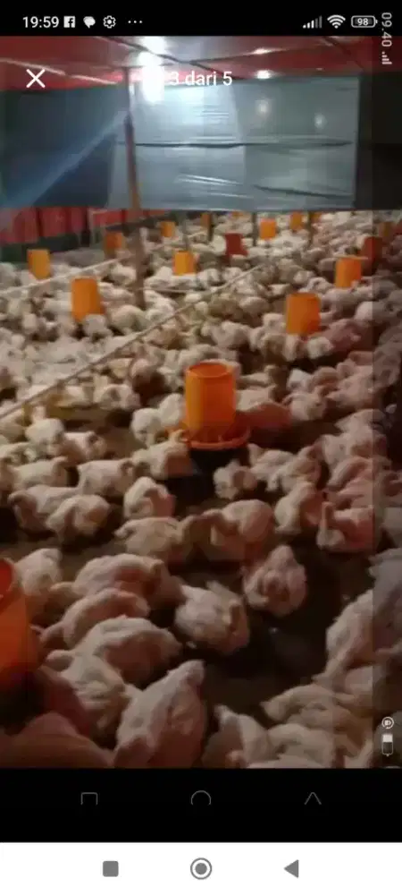Paket Usaha Jangka Panjang