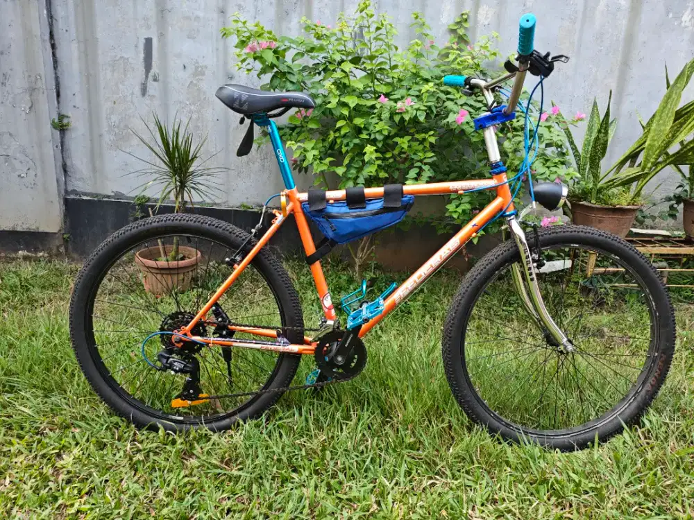 Sepeda Federal 19