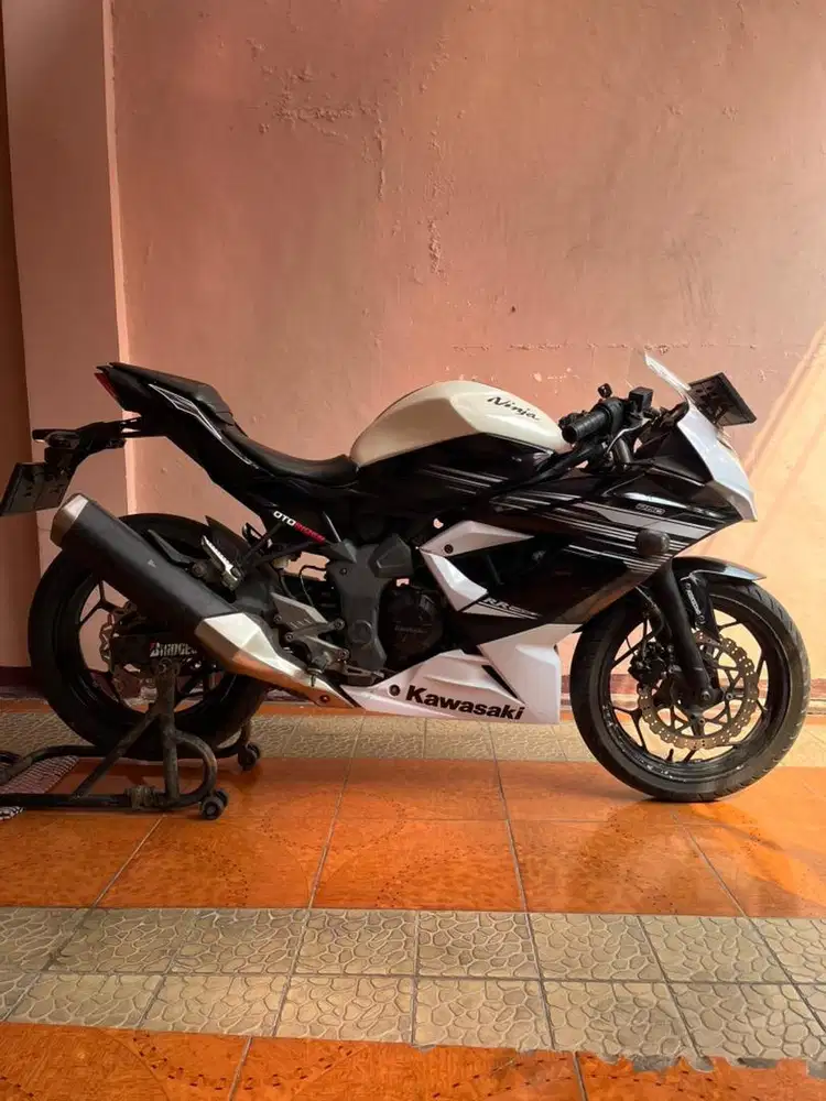Ninja 250SL Mono 2015