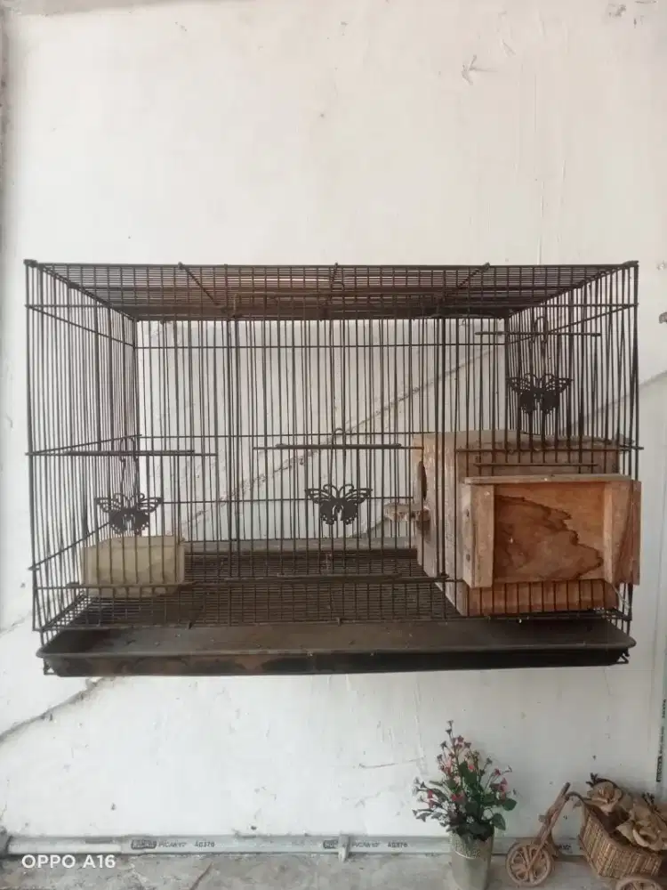 Kandang burung kotak