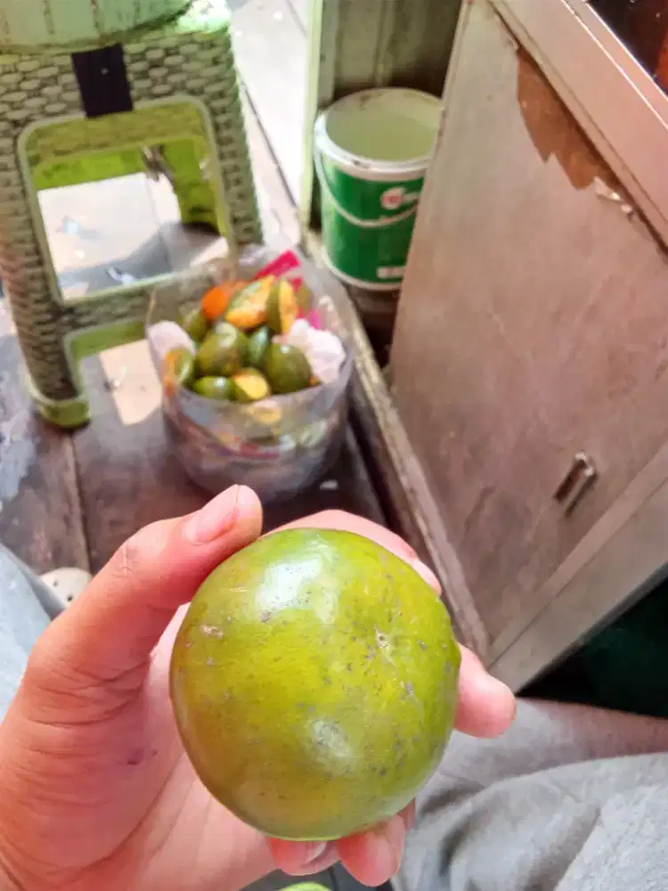 Juala cangkang jeruk buat di jadiin pupuk