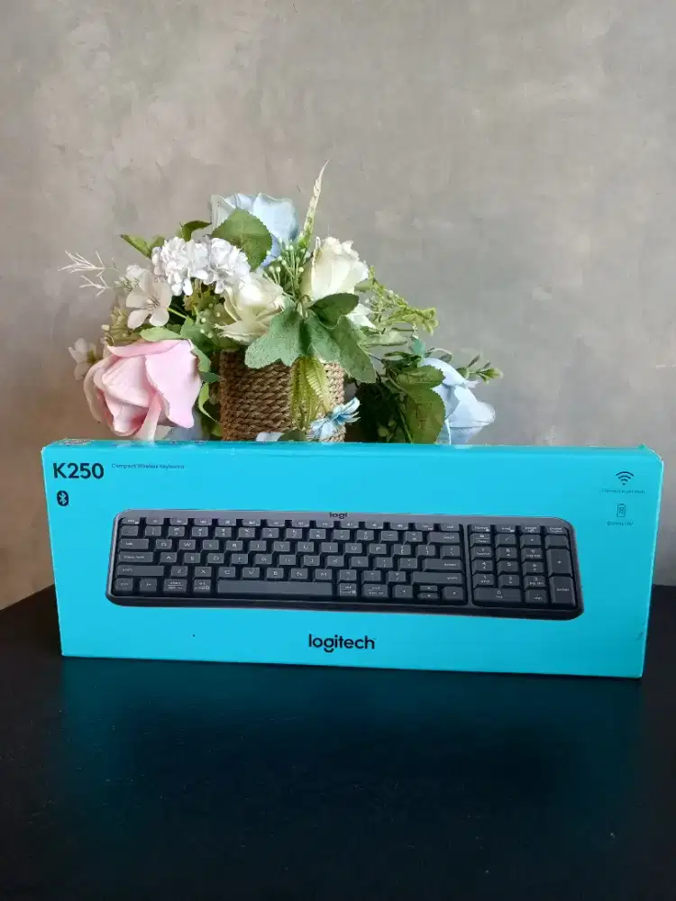 Logitech Keyboard K250
