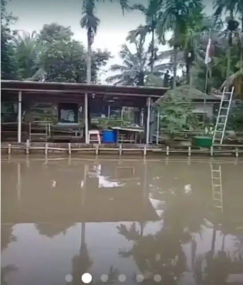 Di Jual Tanah Empang Plus Rumah Di Nangela Tajurhalang Kab Bogor