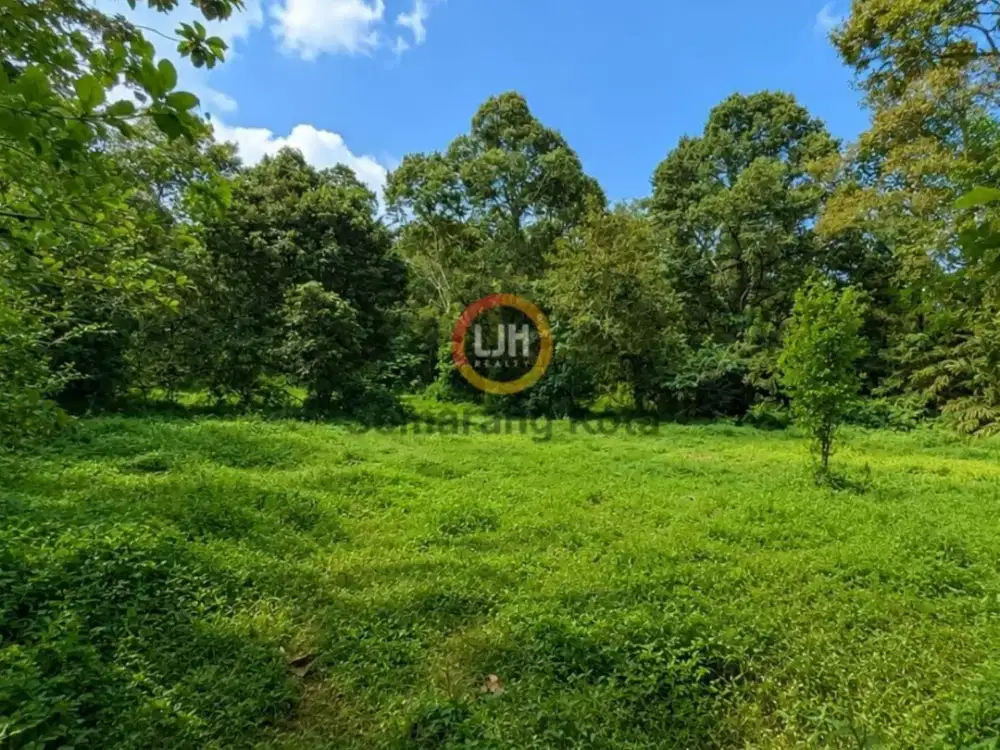 Kavling di Wonoplumbon, Mijen