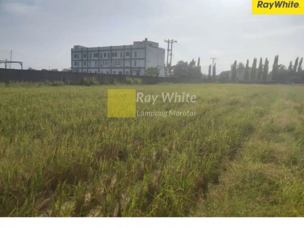 Dijual Tanah di Sukarame, Bandar Lampung (Kode ALN 3621)