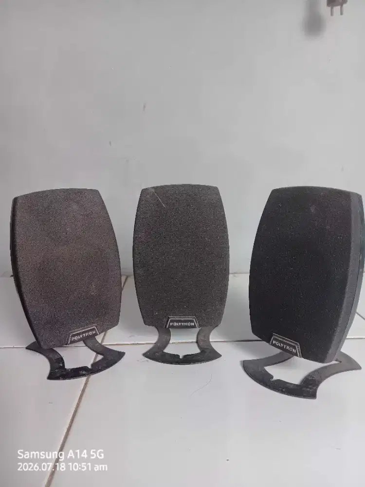 Speaker Polytron