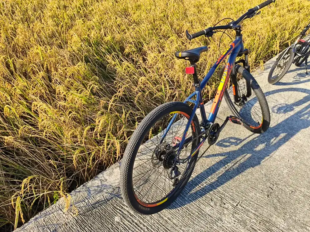 Jual MTB Phoenix 179xr Like New