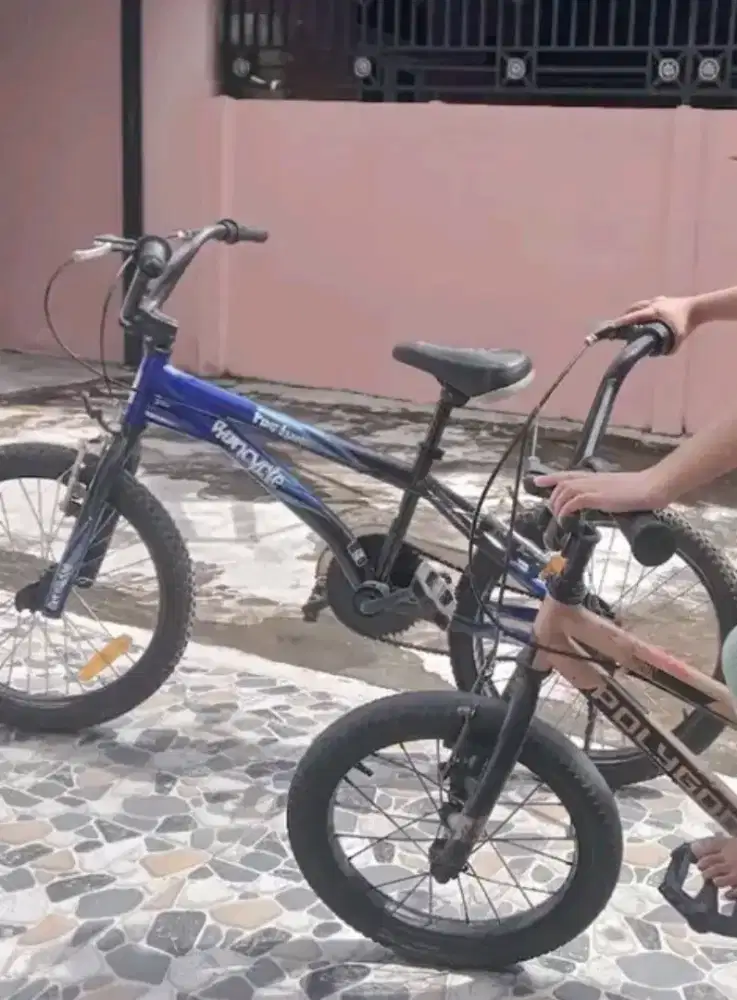 Wimcycle bmx 20 inch