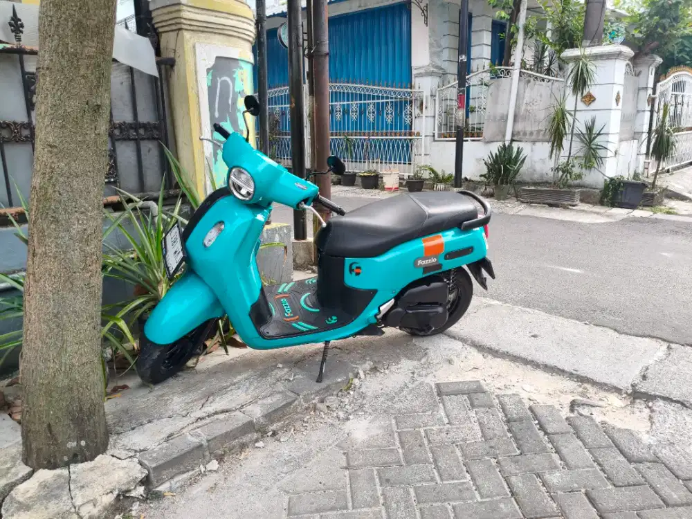 Fazzio Neo 2022